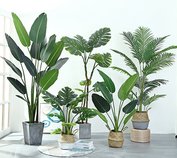 沈陽仿真植物好打理嗎?