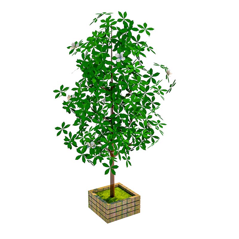 千庫網(wǎng)_室外植物_模板編號4961197 千庫網(wǎng)_室外植物_模板編號4961197