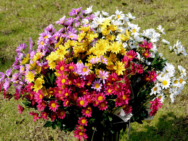 沈陽(yáng)仿真花,人造的繁花,不敗的春風(fēng)