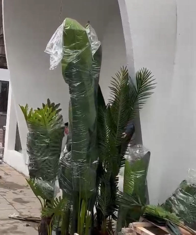 沈陽(yáng)仿真植物 沈陽(yáng)仿真植物